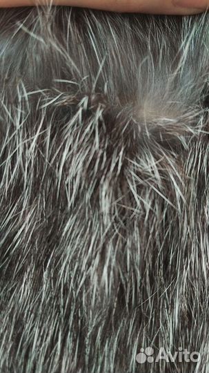 Мех шкура кролика 6шт