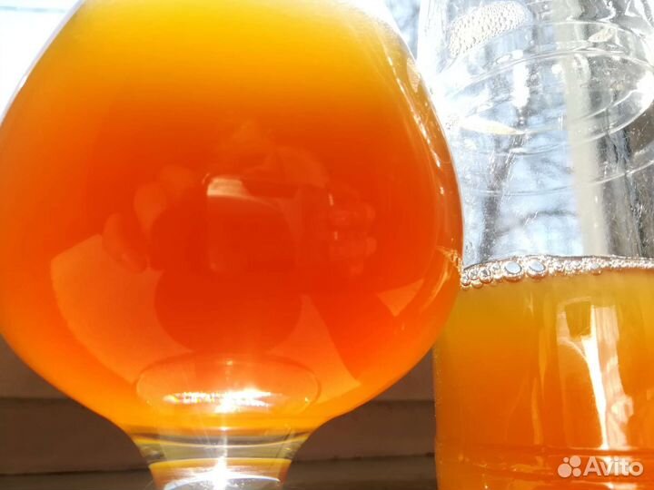 Медовуха безалкогольная