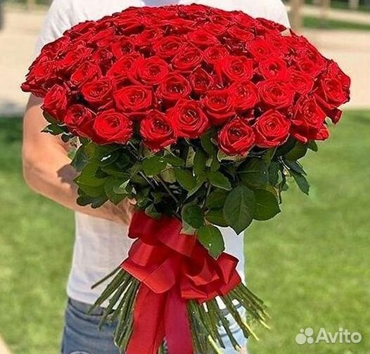 Розы Букеты Цветы Розы 31 101 151 201 Доставка