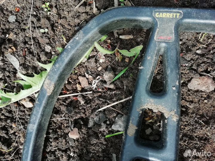 Прокат металлоискателя Garrett Ace 350