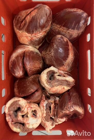 Корм для собак (обрезь, кости, сердце, легкое)