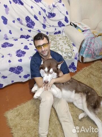 Ветеринарный врач 24/7