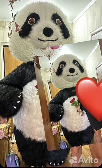 Панда поздравление