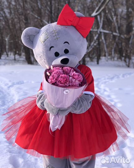 Мишка тедди на праздник