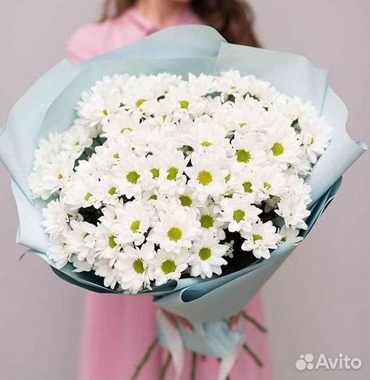 Хризантема Букет хризантем Доставка