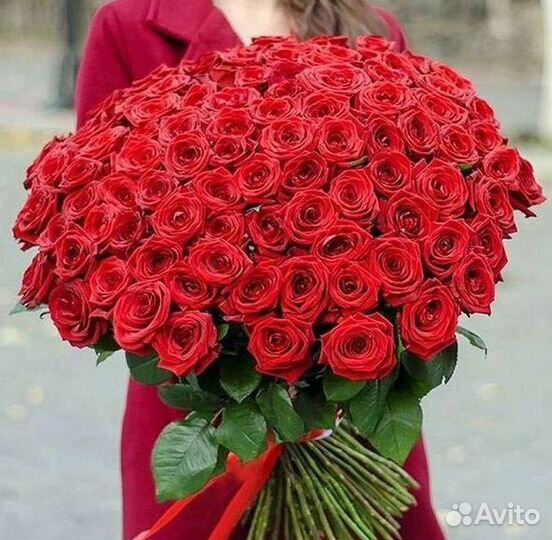 Розы Цветы Букеты 25 51 151 201 101 301 501 опт