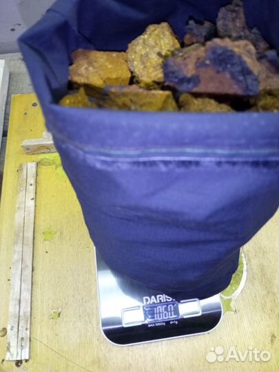 Чага березовая от сборщика