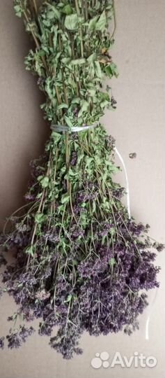 Душица в пучках