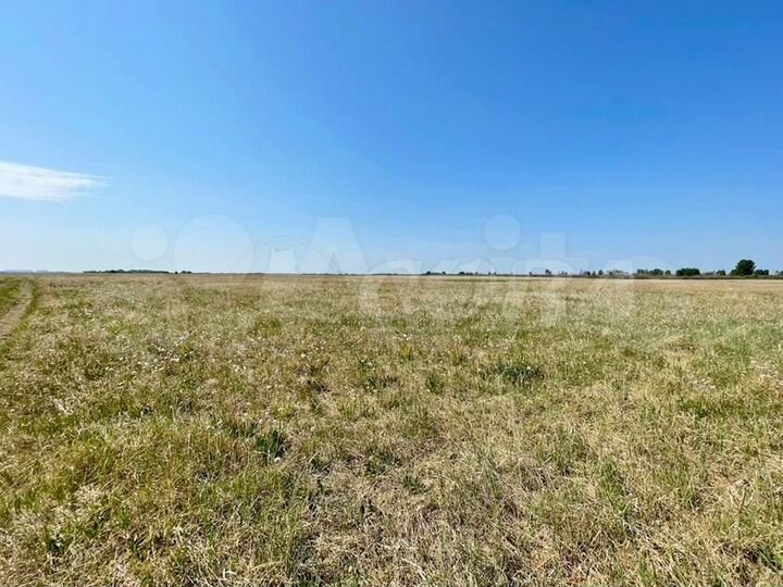 Участок 8,5 сот. (СНТ, ДНП)