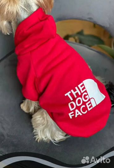 Худи для собак