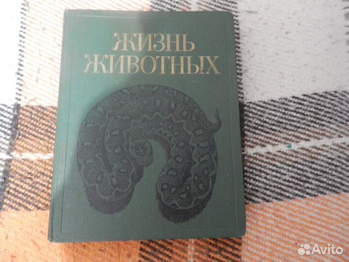 Энциклопедия Жизнь животных