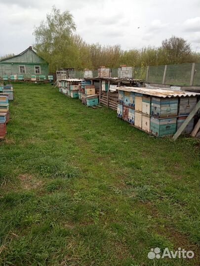 Ульи для пчел бу