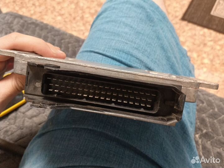 Эбу январь 5.1