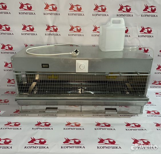 Брудер для цыплят 