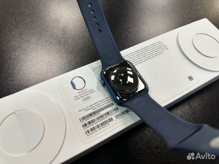 Apple Watch Series 7 45mm Blue