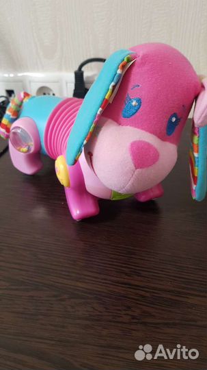 Собака Tiny love