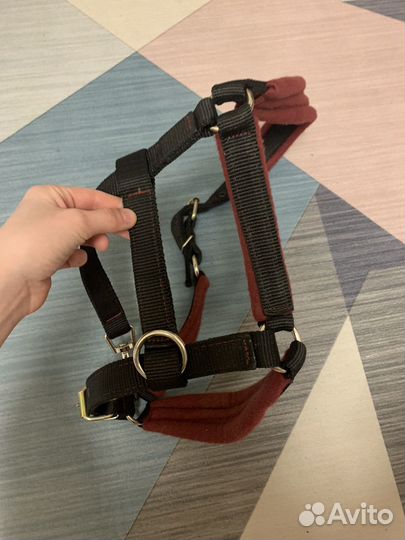 Недоуздок для лошади