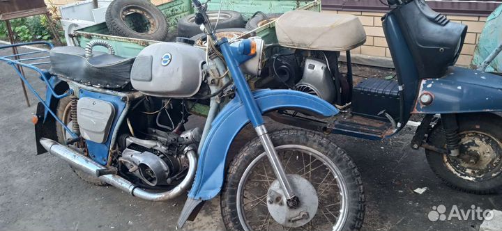 Продам муравей