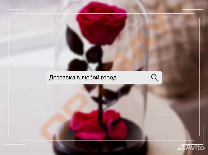 Роза в колбе. Стоит до 8 лет