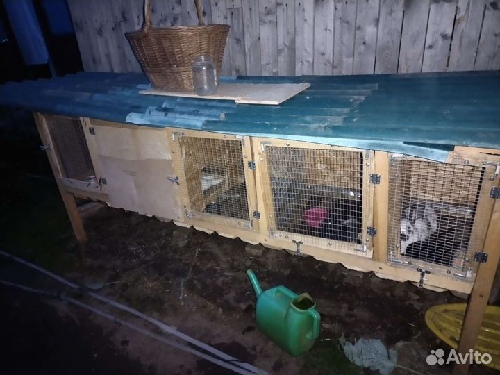 Клетка для кролика большая