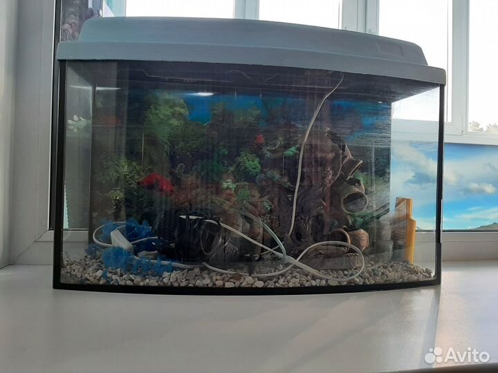 Аквариум с крышкой