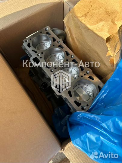 Блок цилиндров ваз 11193 в сборе