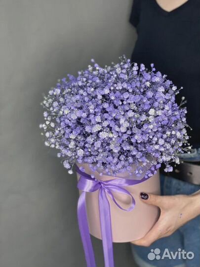 Букет из гипсофилы в коробке