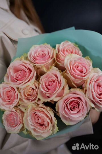 Букет эквадорских роз