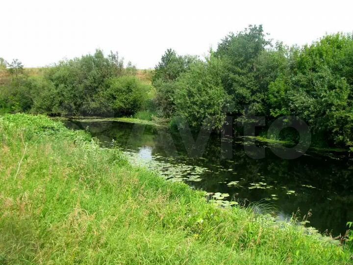 Участок 8 сот. (СНТ, ДНП)