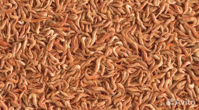 Гаммарус сушеный - стартовый корм для рыбы