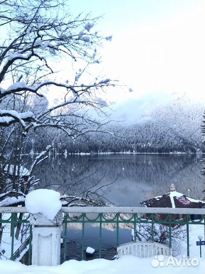 Экскурсии Гид по Сочи и Абхазии Цигун Йога