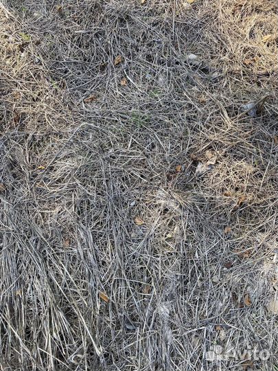 Торнадо от сорняков, гербицид от травы