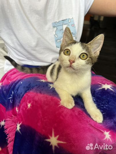 Мальчишка в поисках семьи