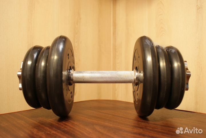 Гантеля 12 кг. обрезиненные блины. Вариант 3