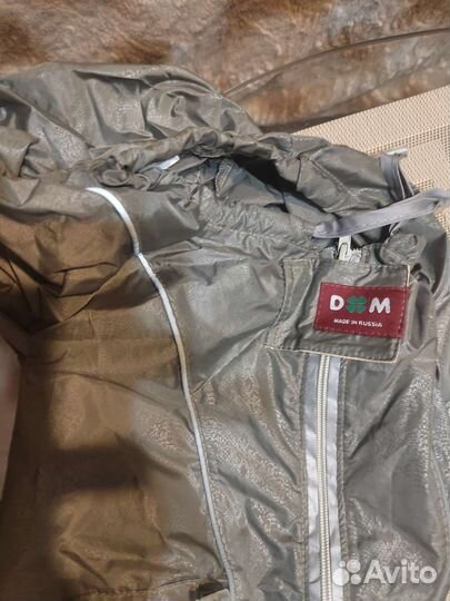 Комбинезон для собак Dogmoda Лайт, для мальчика