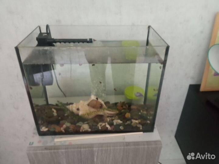 Аквариум
