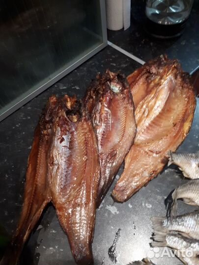 Рыба копченая. Кета, щука, горбуша,скумбрия и др