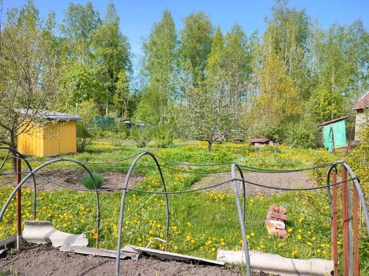 Участок 14 сот. (СНТ, ДНП)