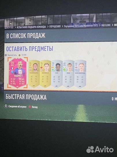 Тренер по ea fc24