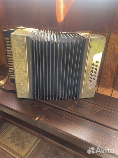 Однорядная гармонь