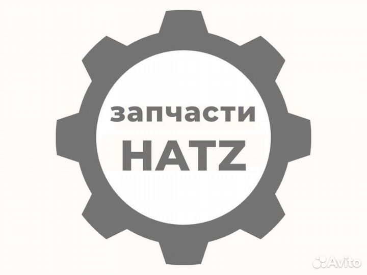Injector hatz (хатц) 01649811