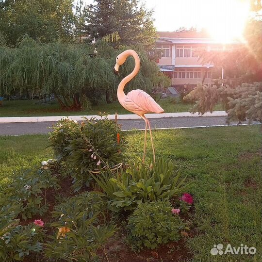 Фламинго Ростовой