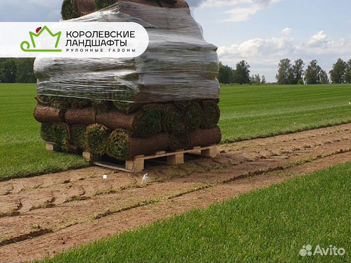 Рулонный газон