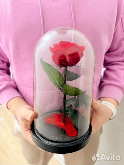 Роза в колбе