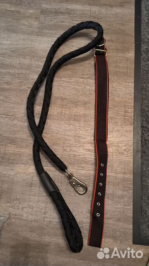 Ошейник и поводок