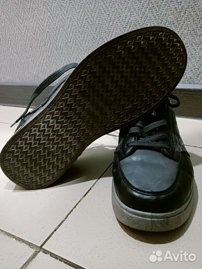 Красовка мужской