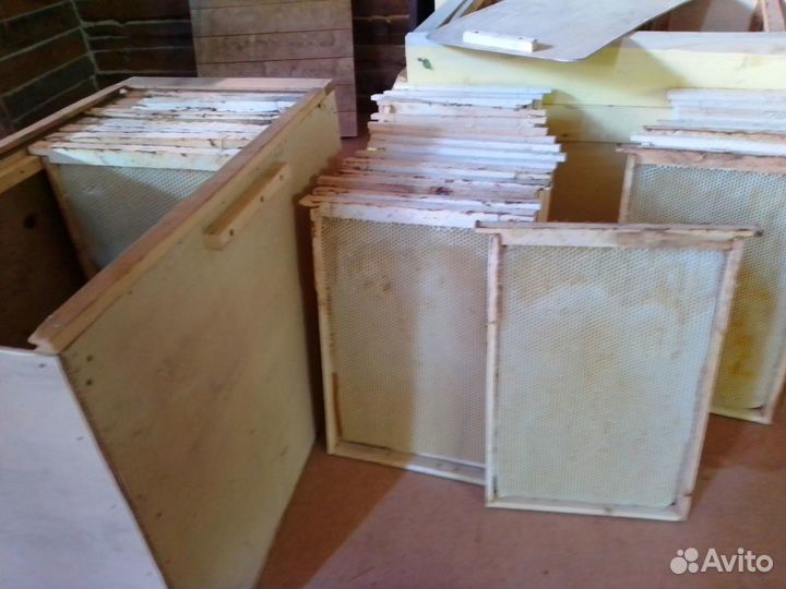 Мёд натуральный лесной