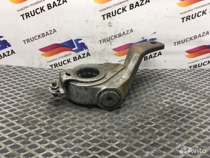 Трещетка тормозная задняя левая