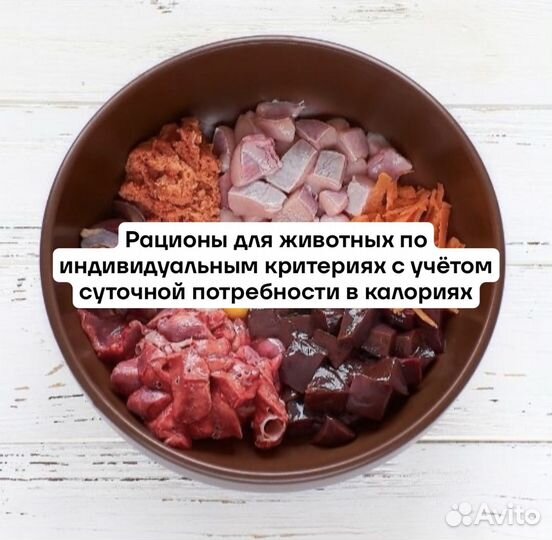 Ветдиетолог