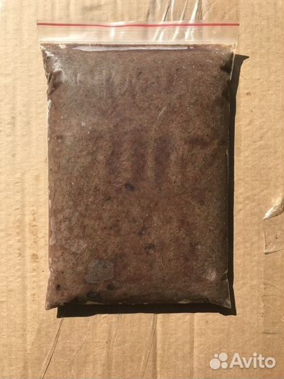 Мотыль,артемия,циклоп,гаммарус,дафния растени